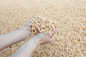 EKMAN HP Premium 6 mm løse træpiller (gratis levering)