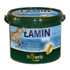 Lamin Forte
