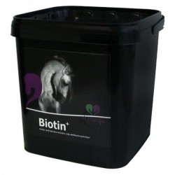 Amequ Biotin