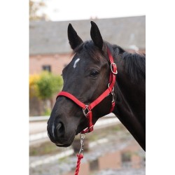 Rød grime med soft sort foring.